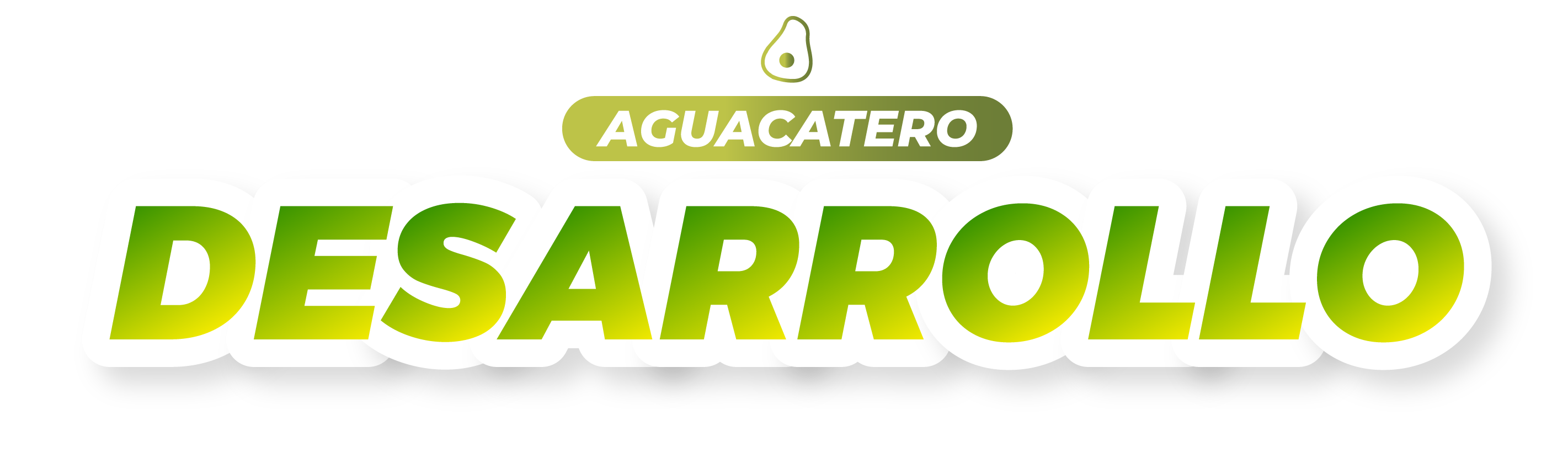 Desarrollo